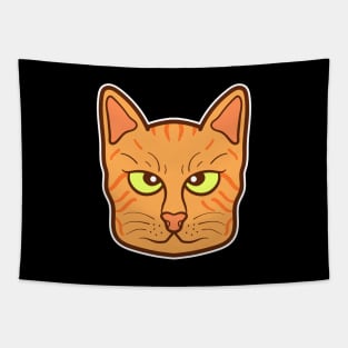 Orange domestic cat Tapestry