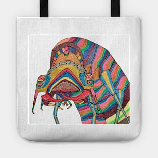 Predaceous diving beetle (Dytiscidae) larva Tote