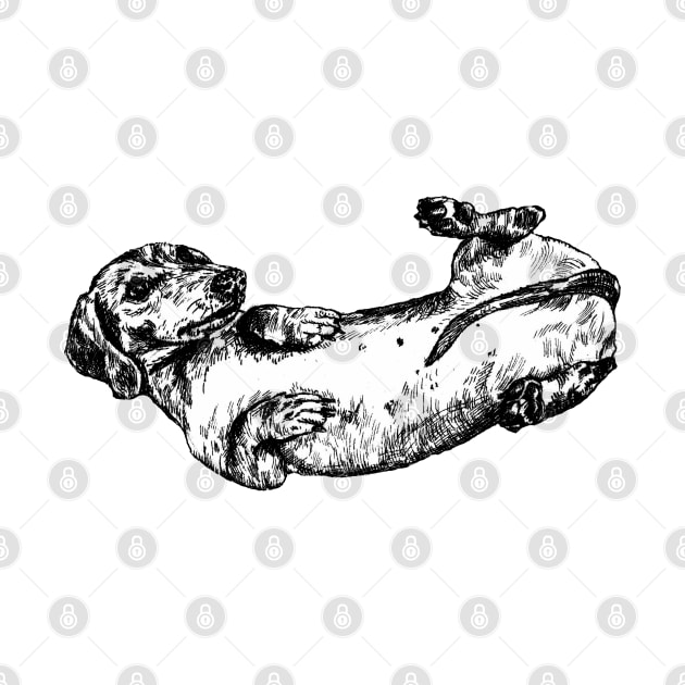 Cute Dachshund Sausage Dog Illustration by Tasmin Bassett Art