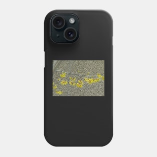 Witch Hazel Against the Garden Wall Phone Case