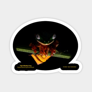 Tiger Monkey Frog Magnet