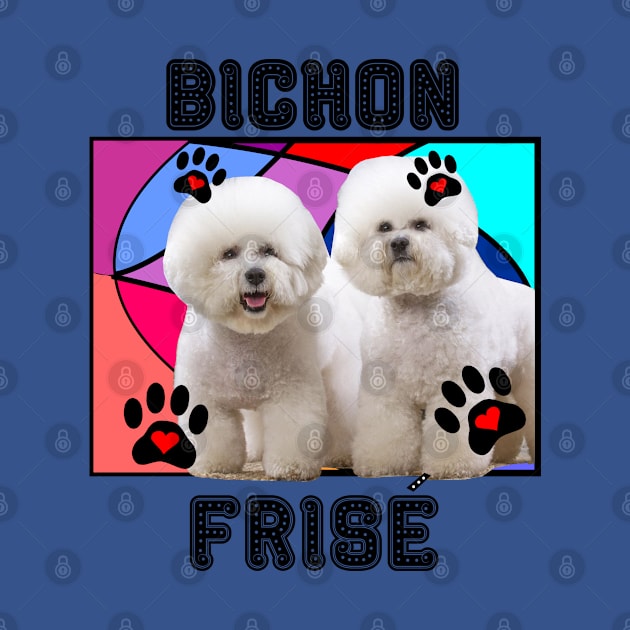 Bichon Frisé dog by Carolina Cabreira