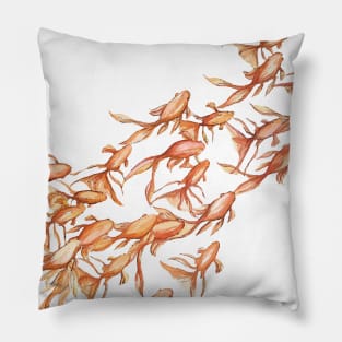 Goldfish from above Pillow