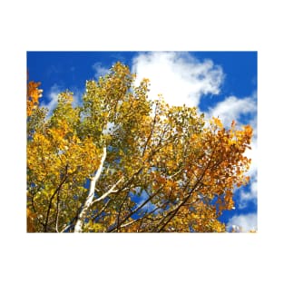 Blue Rocky Mountain Skies and Golden Aspen Trees in fall T-Shirt