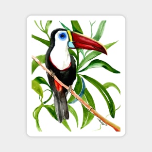 Toucan In the Jungle, White-Throated Toucan Magnet