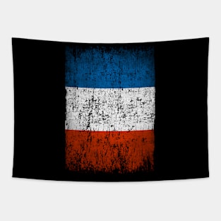 France Flag Women Men Children France Retro Vintage Tapestry