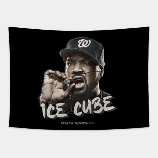 ice cube vintage bootlag Tapestry