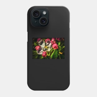 HDR Apple Blossom Phone Case