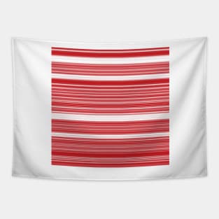 Valentine Red And White Splattered Stripes Tapestry