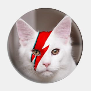 Ziggy Pin