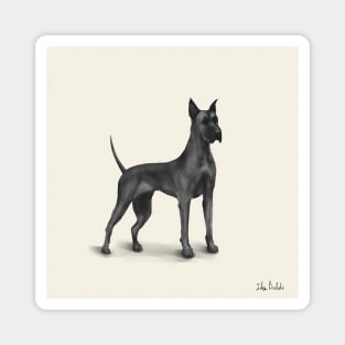 Great Dane Drawing in Black Digital Ink Magnet