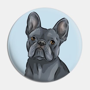 Cute French Bulldog | Blue | Dilute Pin