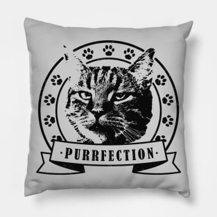 Vintage cat purrfection Pillow