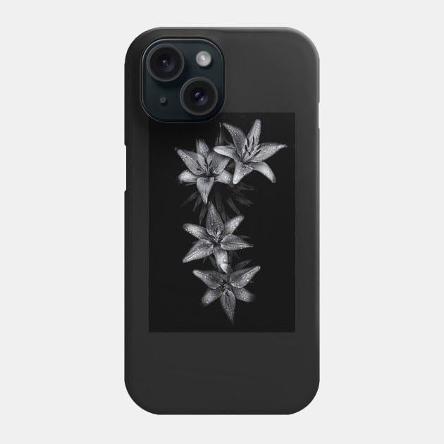 Backyard Flowers In Black And White 7 Phone Case by learningcurveca