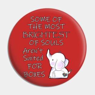 Autism Awareness Quote Special Ed Autistic Support Gifts Pin