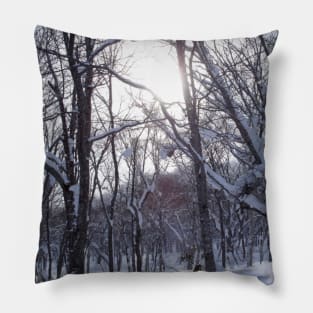 Sun through the trees Pillow