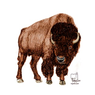 Bison T-Shirt