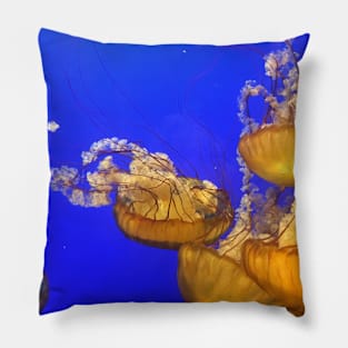 Jellyfish Pillow