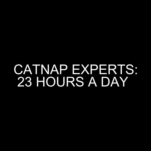 Catnap Masters: Embrace Zen-like Slumbers for 23 Blissful Hours! by flooky