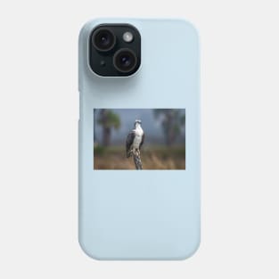 Osprey Patiently Waiting Phone Case