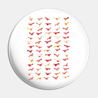 An Army of Undisciplined Birds Pin