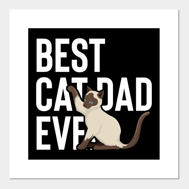 Best Cat Dad Ever Fathers Day Gift Cats Dad Birthday Present