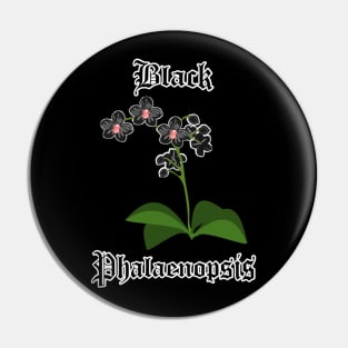 Black Phalaenopsis – Gothic orchid flowers Pin