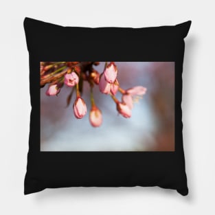 Cherry Tree Buds Pillow