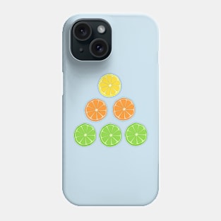 Citrus Fruit Phone Case