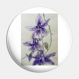 Aquilegia columbine blue watercolour painting Pin