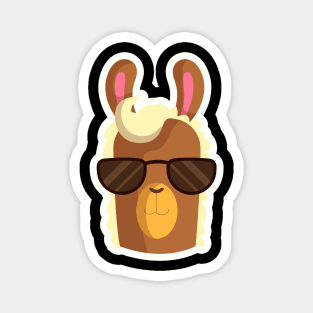 Cool looking Llama with sunglasses Magnet