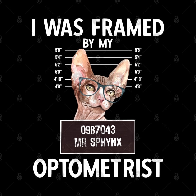 I Was Framed By My Optometrist by Hey Moosey