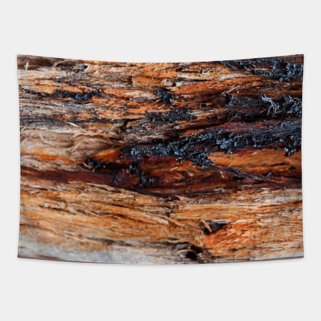 Vibrant Tree Oozing Sap From Trunk - Alternative III Tapestry by textural