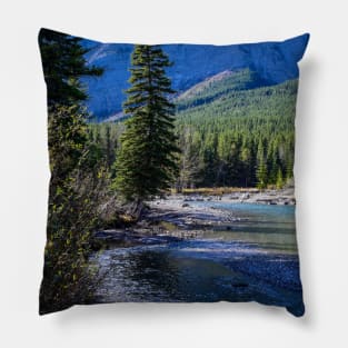 Hiking below Mount Kidd. Pillow