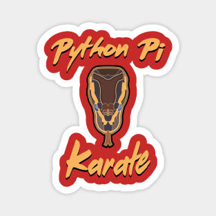 Python Pi Karate Magnet