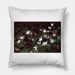 Anemone Lomography Film Pillow