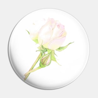 Evelyn Rose, floral watercolor Pin