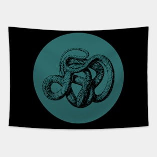 Halloween Snake, Portents, Omens, and Signs Tapestry