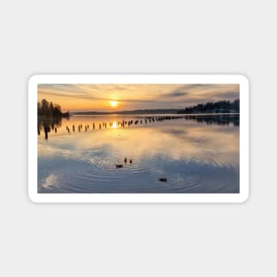 Peaceful Ducks at Golden Hour on Lake Washington Magnet