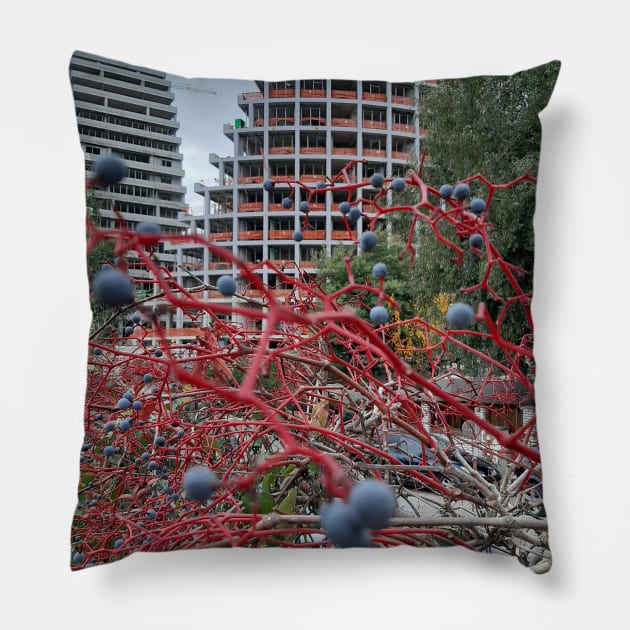 Tirana, Albania Pillow by Stephfuccio.com