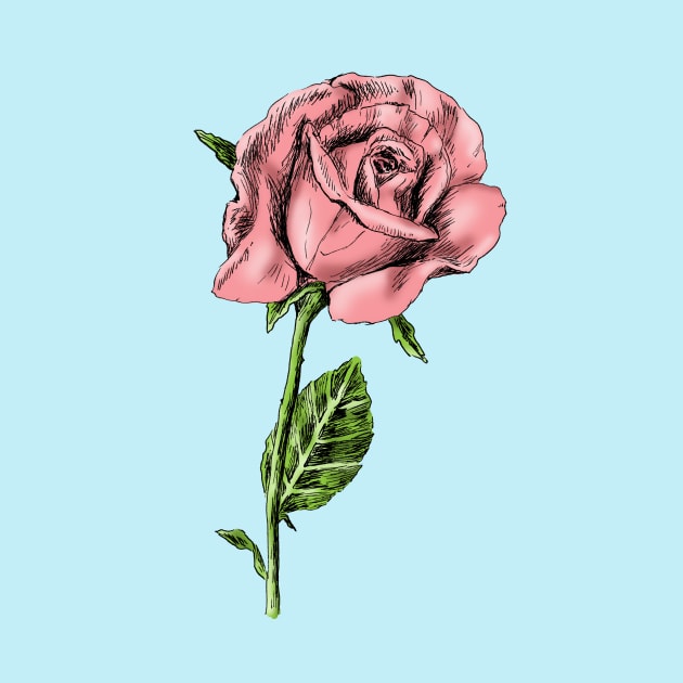 Rose Print by rachelsfinelines