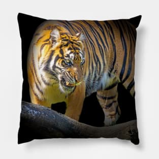 Tiger Animal Feline Wild Life Jungle Nature Freedom Travel Africa Digital Painting Pillow