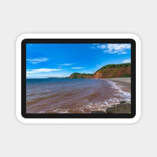 Sidmouth Jurassic Coast Magnet