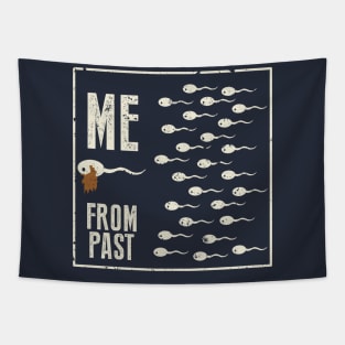 Me Form Past Tapestry