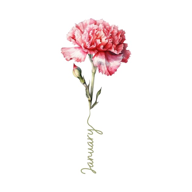 Carnation - January Birth Month Flower by Mistywisp