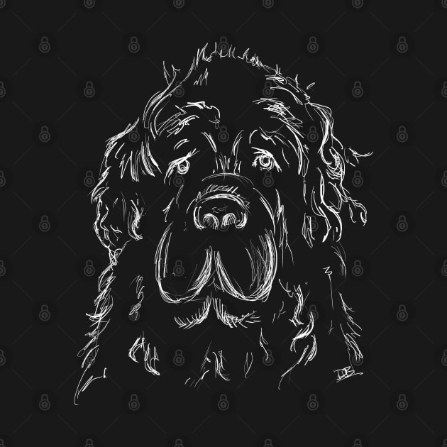 Newfoundland Dog Portrait by brodyquixote