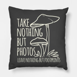 Take Nothing But Photos Pillow