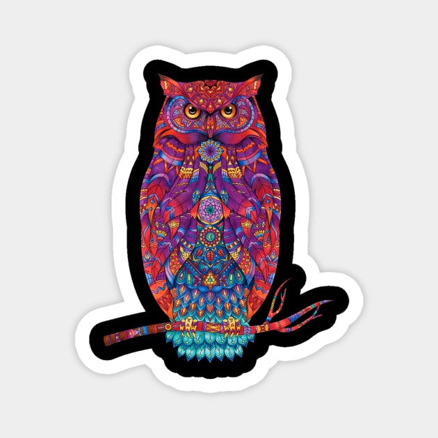 Owl Bird.Colorful owl Magnet by Breshka