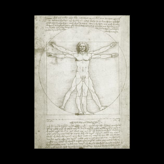 Vitruvian Man by Leonardo da Vinci by MasterpieceCafe