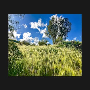 Beautiful Green Grasses Beneath Blue Skies T-Shirt